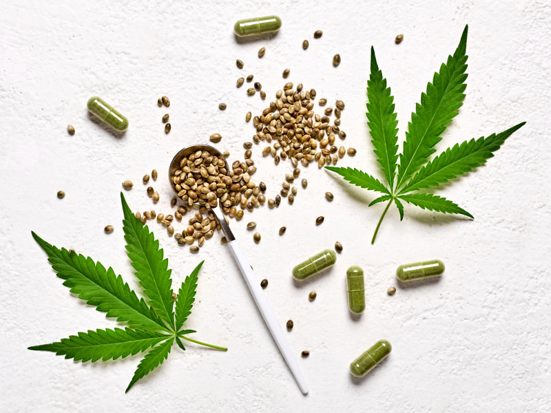 various forms of cannabis and hemp to illustrate how to renew your Florida medical marijuana card